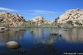 Barker Dam Joshua Tree