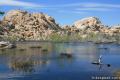 Barker Dam Joshua Tree