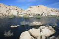 Barker Dam Joshua Tree