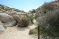 Barker Dam Joshua Tree