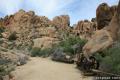 Desert Queen Mine Joshua Tree