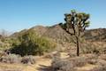 high view nature trail