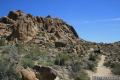 Mastodon Peak Joshua Tree