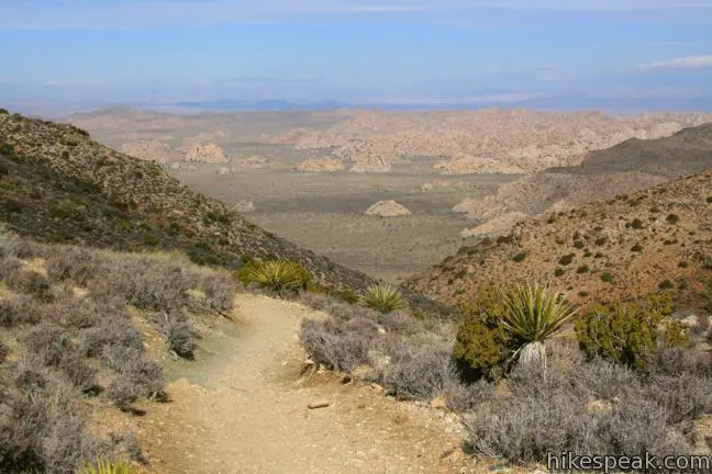 This 3-mile hike offers summit views from the center of Joshua Tree National Park.