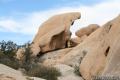 Wonderland Wash Joshua Tree