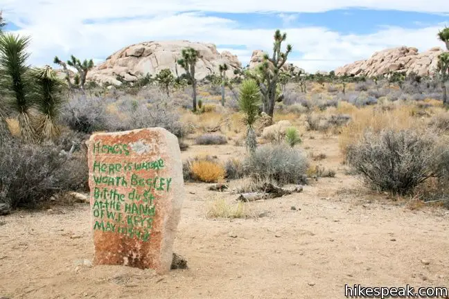 This 1.55 to 2.15 hike visits a well-reserved gold mill, exploring the mining history of Joshua Tree National Park.