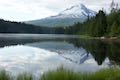 Trillium Lake Trail