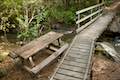 Kereru Loop Wooded Gully Track