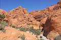 Calico Hills Trail