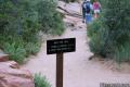 Angels Landing Zion