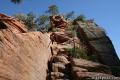 Angels Landing Zion