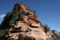 Angels Landing Zion