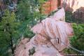 Angels Landing Zion