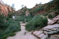 Angels Landing Zion