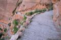 Angels Landing Zion