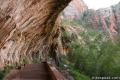 Weeping Rock zion