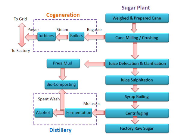 Sugar Cane Processing Flow Chart