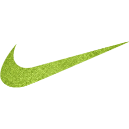 nike icon