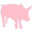 pink pig 9 icon