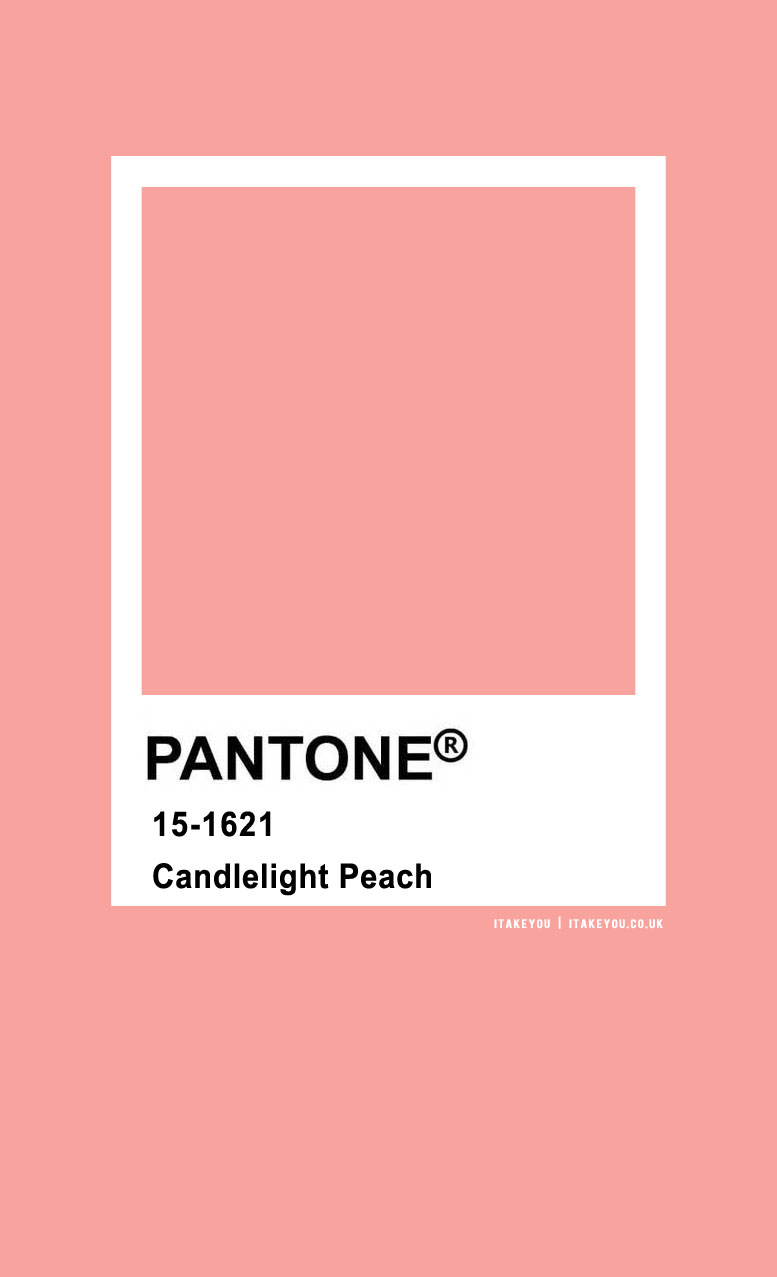 Pantone Color : Pantone Candlelight Peach