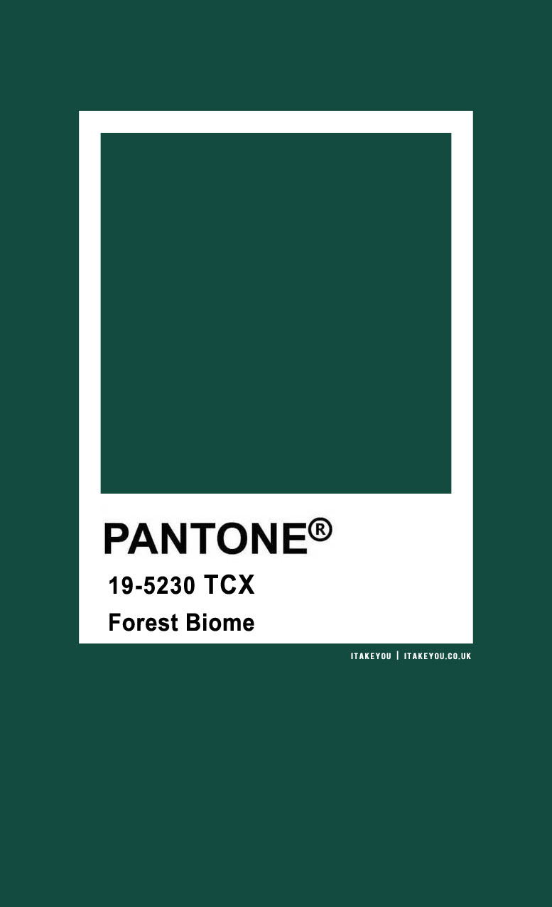 Pantone Color : Pantone Forest Biome Color