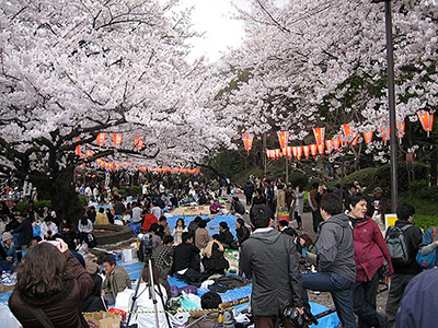 Ueno Park in Tokyo