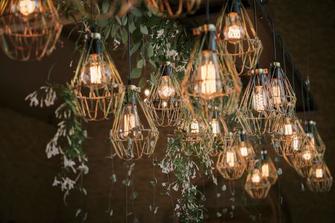 Edison Bulbs