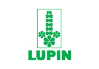 Lupin