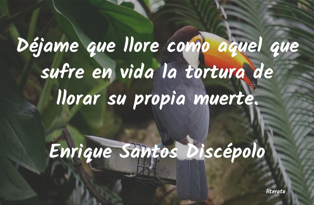 Frases de enrique santos discepolo - literato