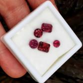 Bright & Pretty! Mixed Species Garnet Lot Tanzania GLI 