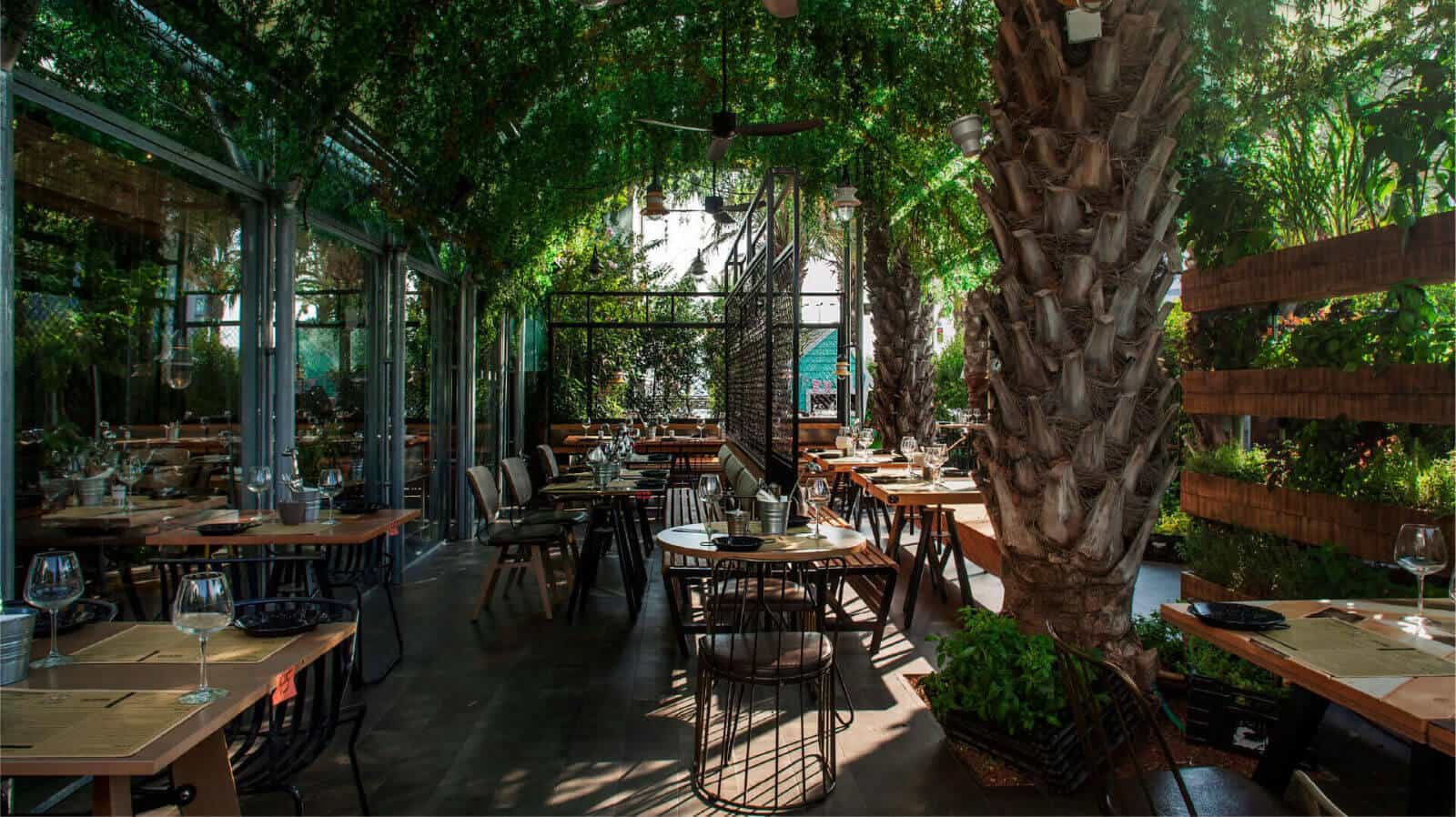 Jungle style cafe theme with glass hanging from top and Tree in front and cafe type sitting area