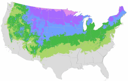 USDA Cold Hardiness Zone Map