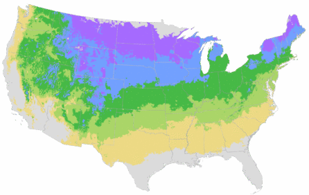 USDA Cold Hardiness Zone Map