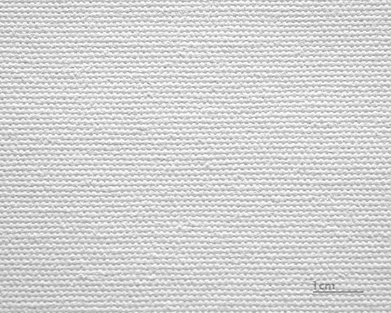 Canvas Salvador (matta)