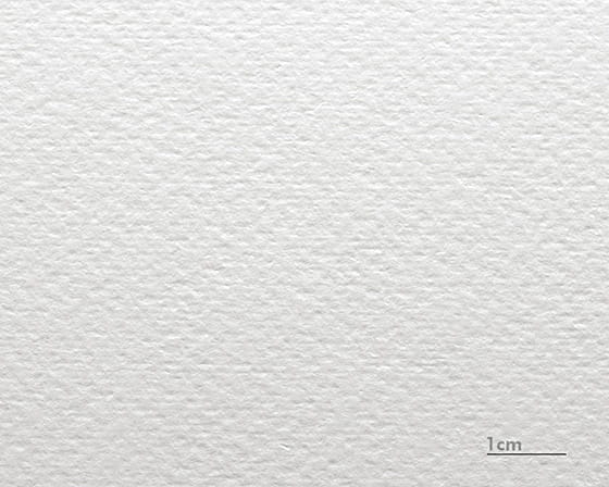 Akvarell papp Renoir