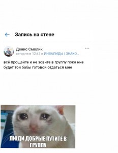 Create meme: cat, weeping cats memes, memes