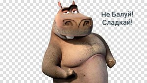 Create meme: people, Moto Moto, Madagascar Hippo Moto Moto