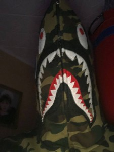 Create meme: bape shark