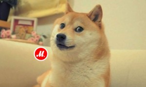 Create meme: such, dogecoin, risovac