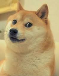 Create meme: dogs meme, doge, doge dog