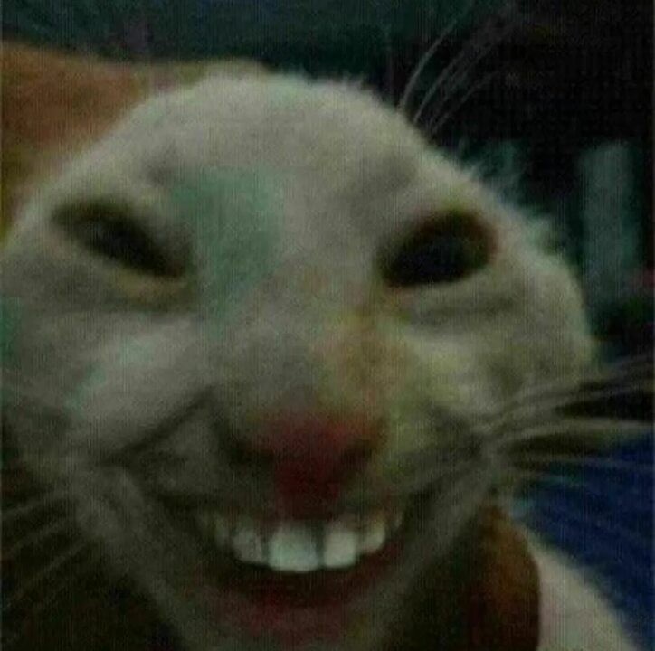 Create meme: cat with teeth meme, mennie cats, cat with teeth