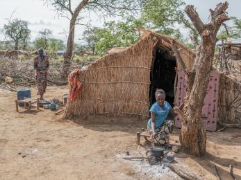 A person cooking leaves from nearby trees.