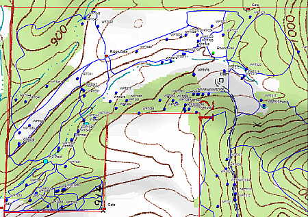 Nut bearing trees plotted on topographic map