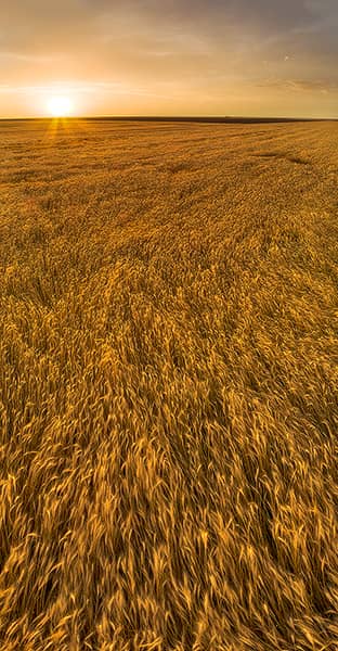 Aerial Kansas