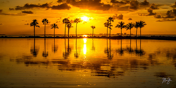 Coral Gables Sunrise