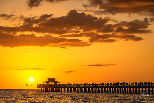 Sunset over Naples Pier