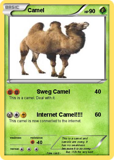 Pokemon Camel