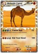 Midianite Camel