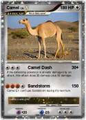 Camel