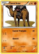 Camel Rider